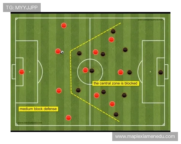 武汉乒乓球队配合表现的数据分析与战术研究探讨 武汉乒乓球队配合表现的数据分析与战术研究探讨
