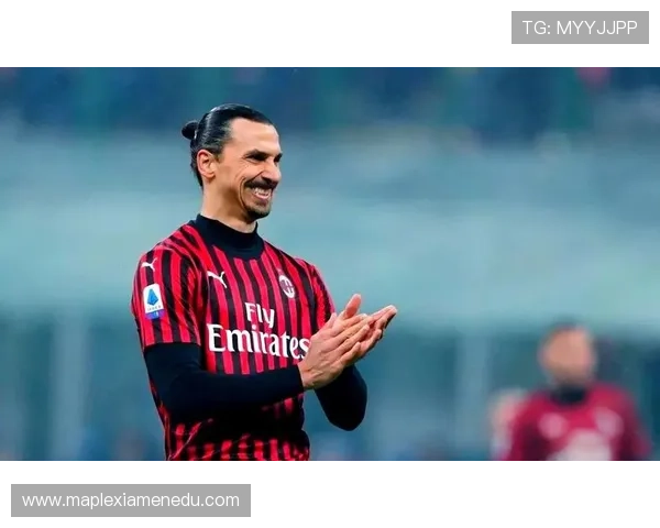 足球明星伊布是谁他在足坛的传奇故事与影响力解析