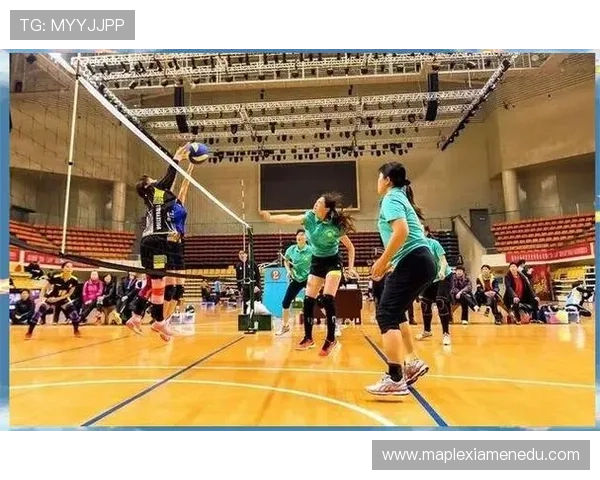 北京排球队的耐力挑战与训练探索聚焦排球运动的未来发展