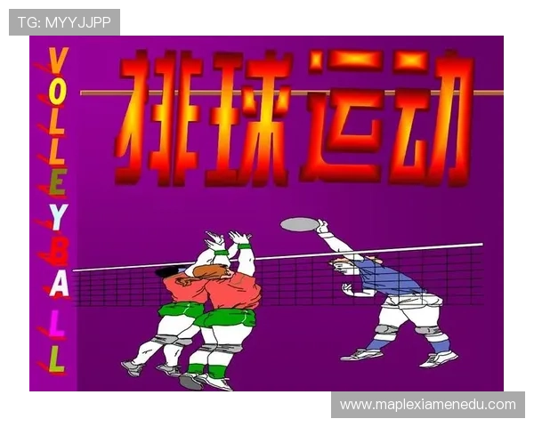 南京排球队反击战术解析与深度剖析排球竞技的魅力与挑战