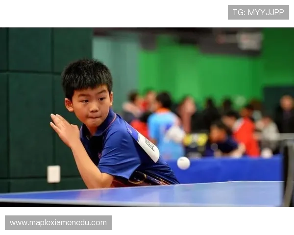 武汉乒乓球队在锦标赛中的精彩表现与状态分析