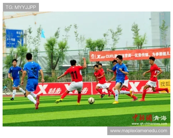 深圳足球队总决赛技术分析与表现评估全面解读 深圳足球队总决赛技术分析与表现评估全面解读