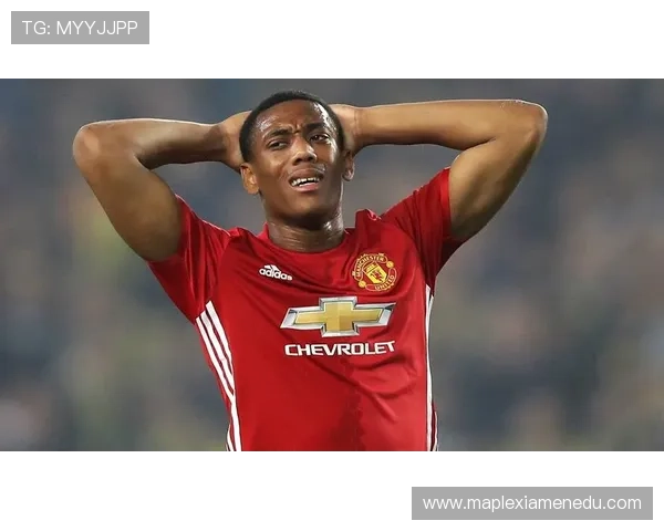 全球知名黑人足球明星盘点与成就分析